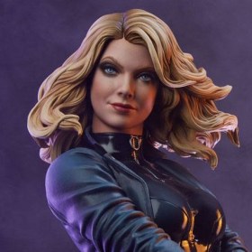 Black Canary DC Comics Premium Format Figure by Sideshow Collectibles